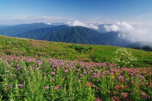 ⛰️ 이부키 산 (이부키야마) 이미지 7